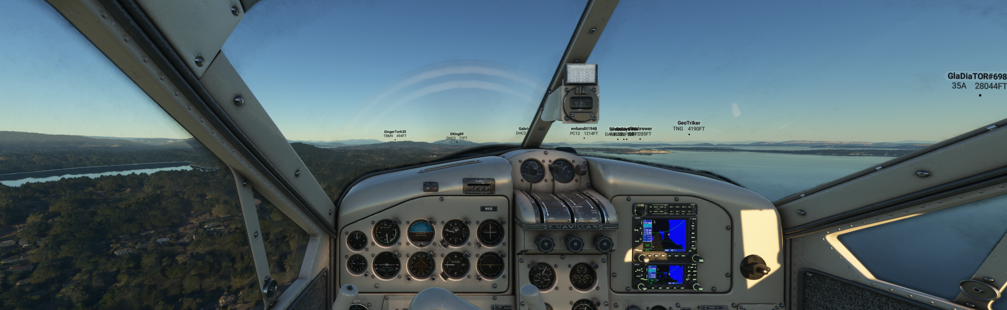 in-game sim view